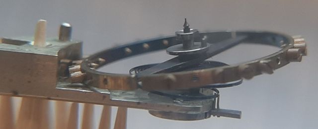 20250305_090317.jpg