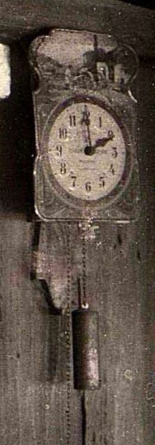 48355269_original (1).jpg